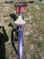 Schwinn Step Thru Cruiser 24" for Little Lady