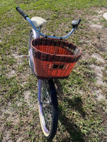 Schwinn Step Thru Cruiser 24" for Little Lady