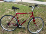 Raleigh C-40 Hybrid Bike
