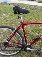 Raleigh C-40 Hybrid Bike
