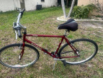 Raleigh C-40 Hybrid Bike
