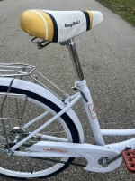 Jint Step Thru Cruiser Like New