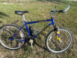 DeNali Pacific 21 Speed Bike