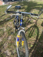 DeNali Pacific 21 Speed Bike
