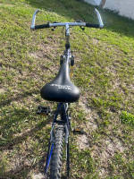 DeNali Pacific 21 Speed Bike