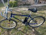 DeNali Pacific 21 Speed Bike