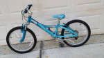 Trek MT60 Girls Juvenile Mountain Bike
