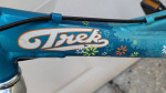 Trek MT60 Girls Juvenile Mountain Bike