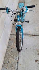 Trek MT60 Girls Juvenile Mountain Bike