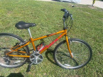 Trek 800 Small Frame Bike