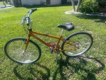 Trek 800 Small Frame Bike