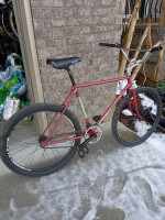 Single speed coaster brake custom bike large