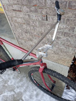 Single speed coaster brake custom bike large