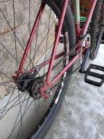 Single speed coaster brake custom bike large
