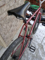 Single speed coaster brake custom bike large