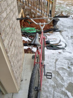 Single speed coaster brake custom bike large