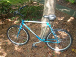 Raleigh Technium Mountain Bike