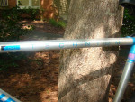 Raleigh Technium Mountain Bike