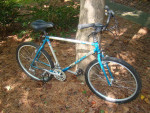 Raleigh Technium Mountain Bike