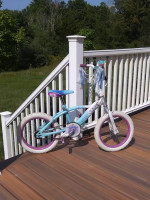 Huffy 16" Frozen Bike