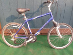 18" Trek Navigator 200