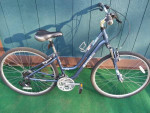 16" Diamondback Vital 2