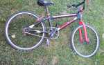 Redline Alum bmx race trick bike