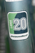 Diamondback Wildwood Deluxe Town Bike size Large