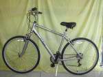 Hybrid/Comfort LL Bean Runaround Cruiser size large