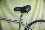 Hybrid/Comfort LL Bean Runaround Cruiser size large