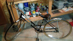Vintage Schwinn Collegiate