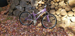 Schwinn 26,21Speed Mountain Bike Lightweight/$100,OBO
