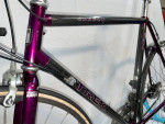 Beautiful Trek 2120 Carbon Road Bike, Men/Women