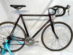 Beautiful Trek 2120 Carbon Road Bike, Men/Women