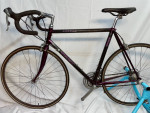 Beautiful Trek 2120 Carbon Road Bike, Men/Women