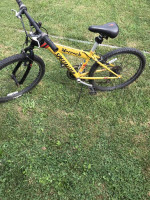Yellow Bike