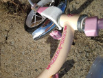 Kids Radio Flyer trike for small child