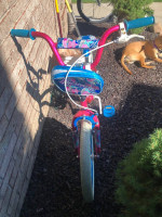 18" BIKE $41
