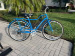 MOMENTUM STREET BIKE