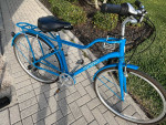 MOMENTUM STREET BIKE