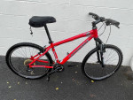 Cannondale F 6 mountain bike