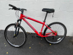 Cannondale F 6 mountain bike