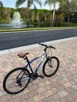 Giant boulder SE Mountain Bike Size Large