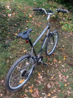 Large Specialized Expedition city bike