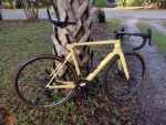 Chapter 2 Tere 55cm carbon road bike. Campy Super Record Disc