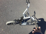 Mongoose