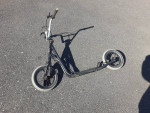 Mongoose