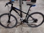 29 FUJI  Nevada