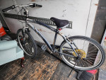 Avalon Bike