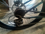 New 24" Schwinn Ranger